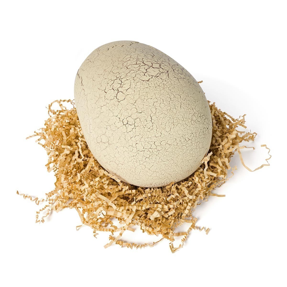 Primal Hatch - Dinossauro Interativo